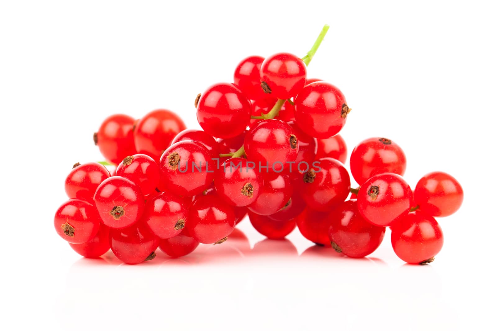 red currant on a white background