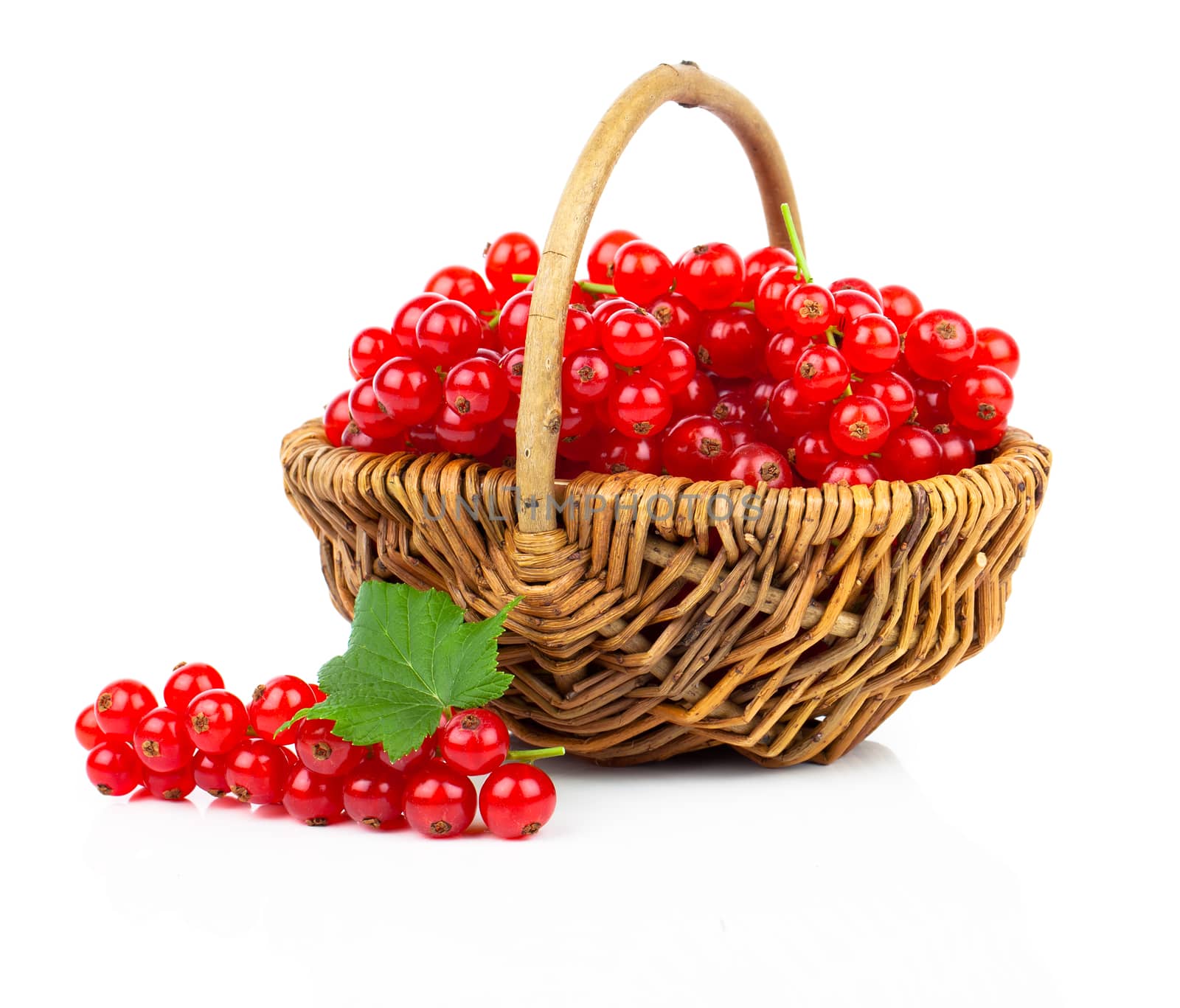 Basket full of red currant on a white background
