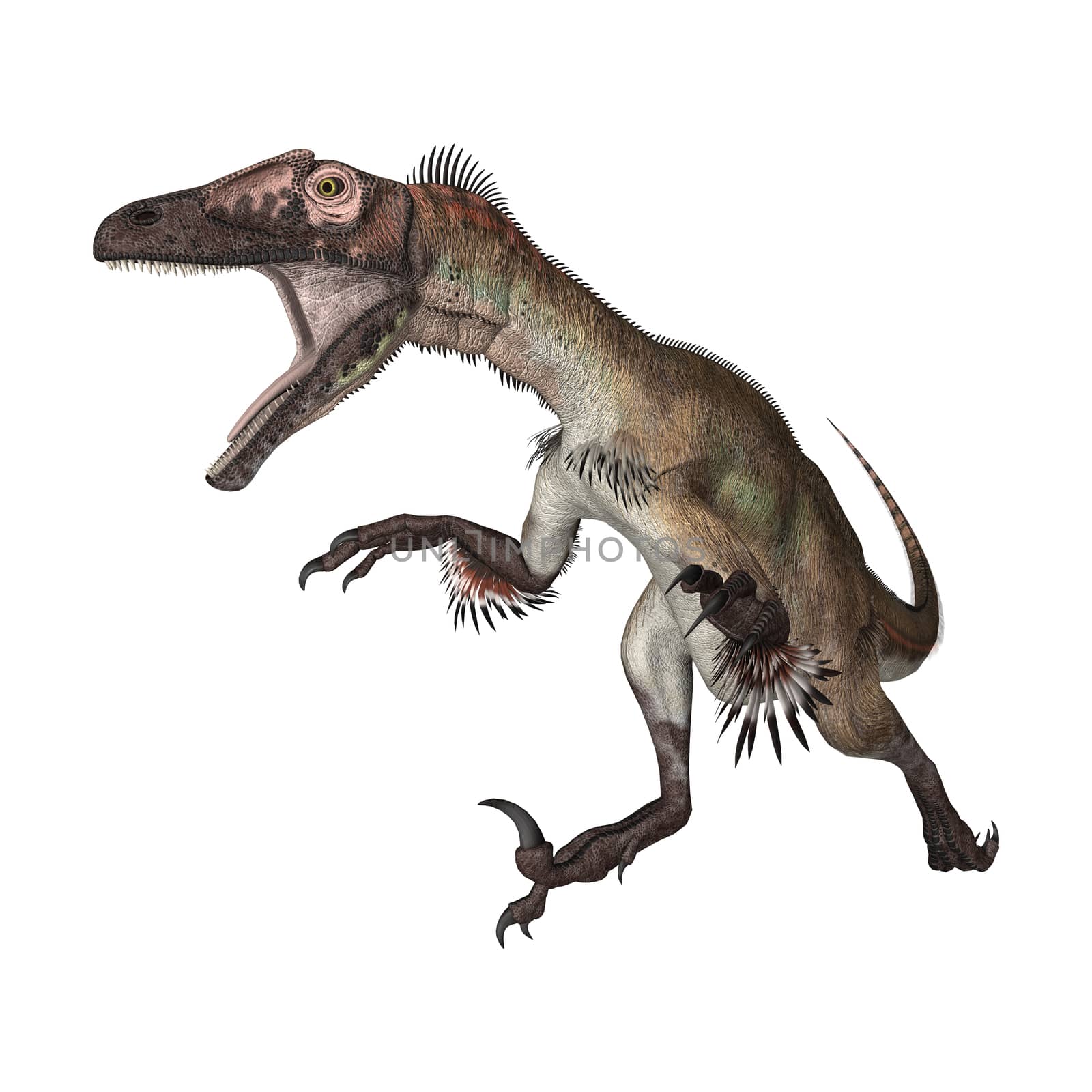 3D digital render of a dinosaur utahraptor running isolated on white background