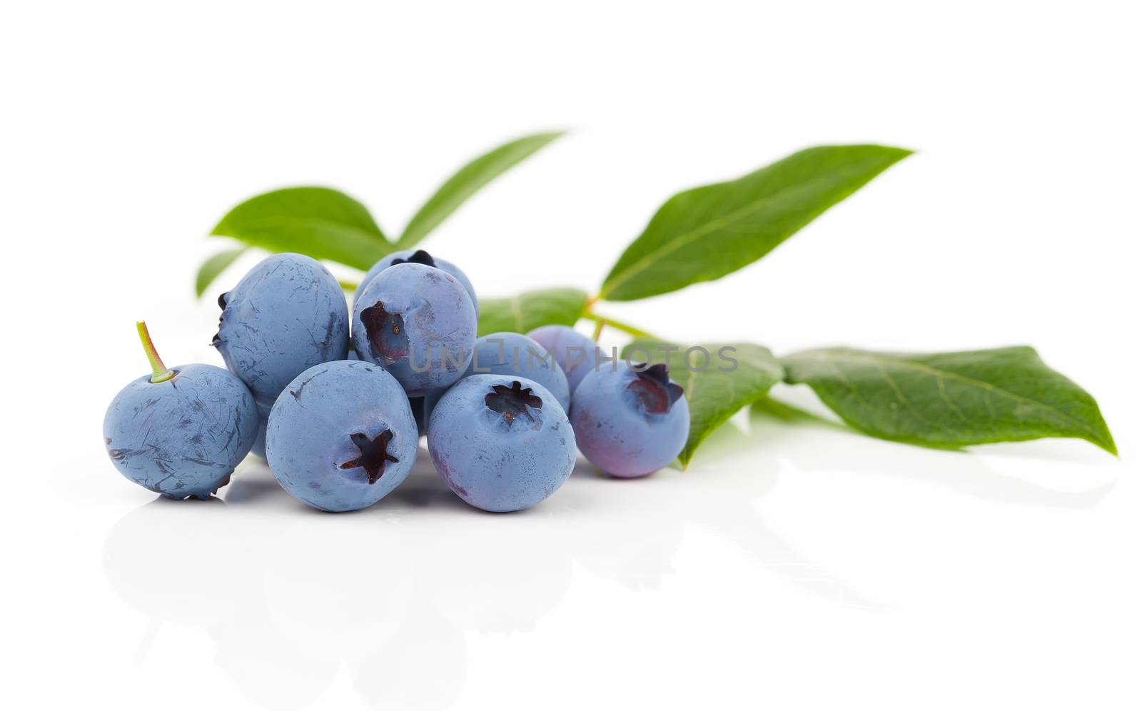 Sweet blueberries with leaves close up, on a white background