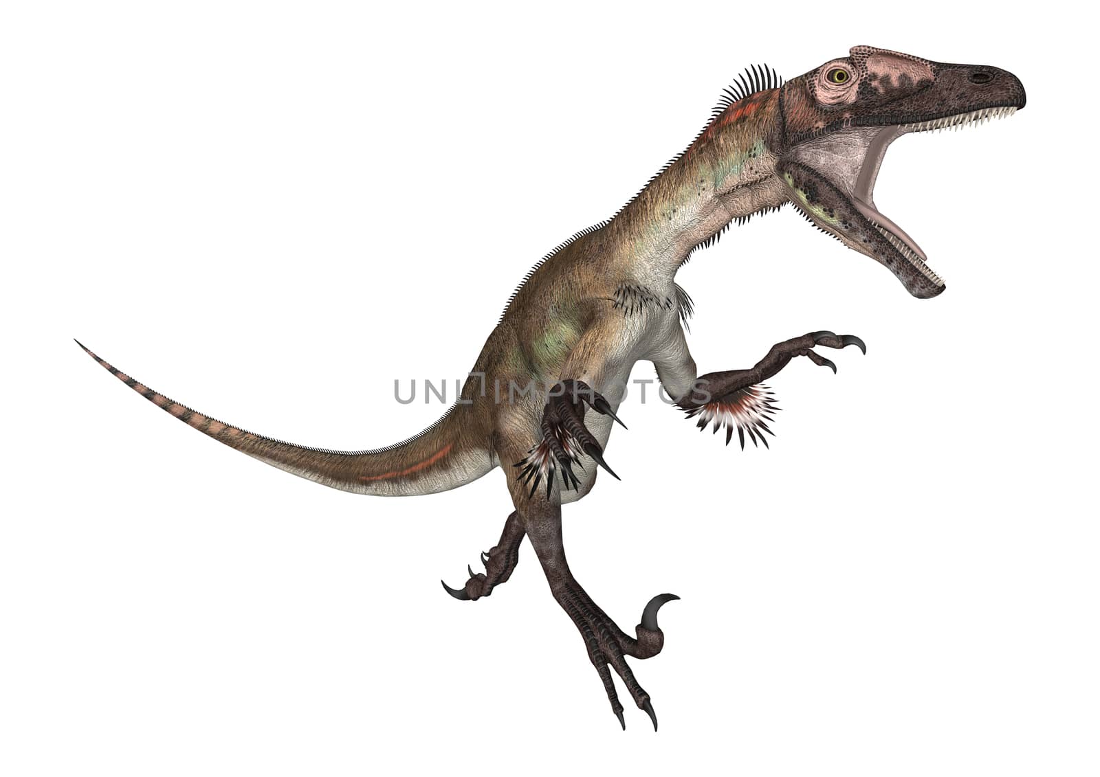 3D digital render of a dinosaur utahraptor running isolated on white background