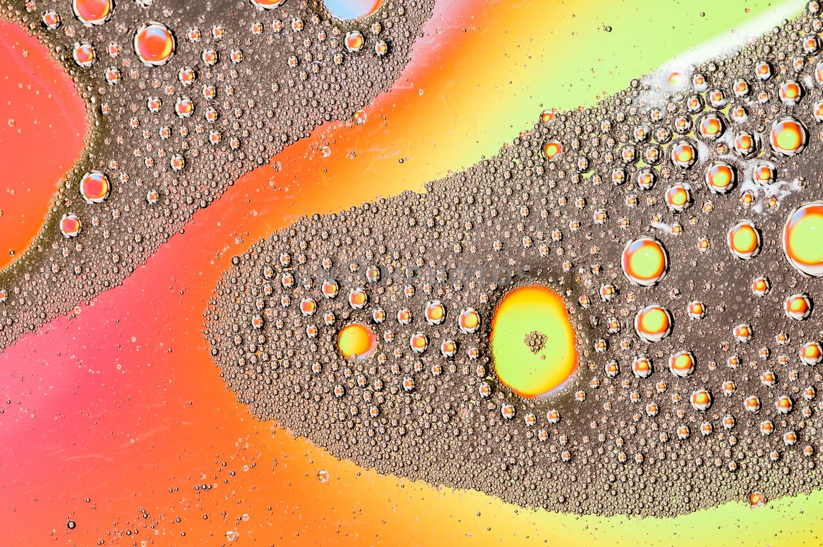 Oil drops on water surface lit from beneath.