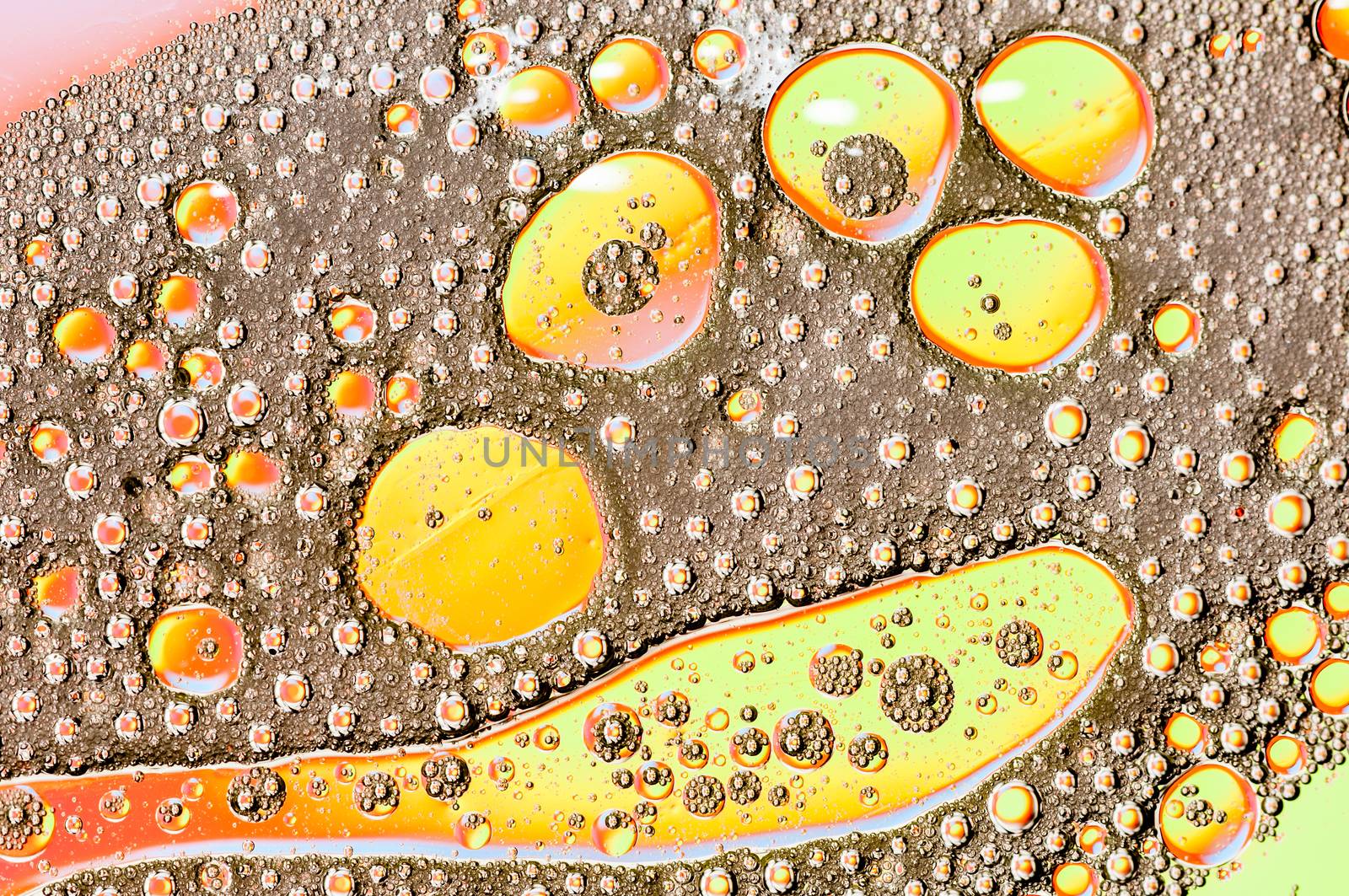 Oil drops on water surface lit from beneath.