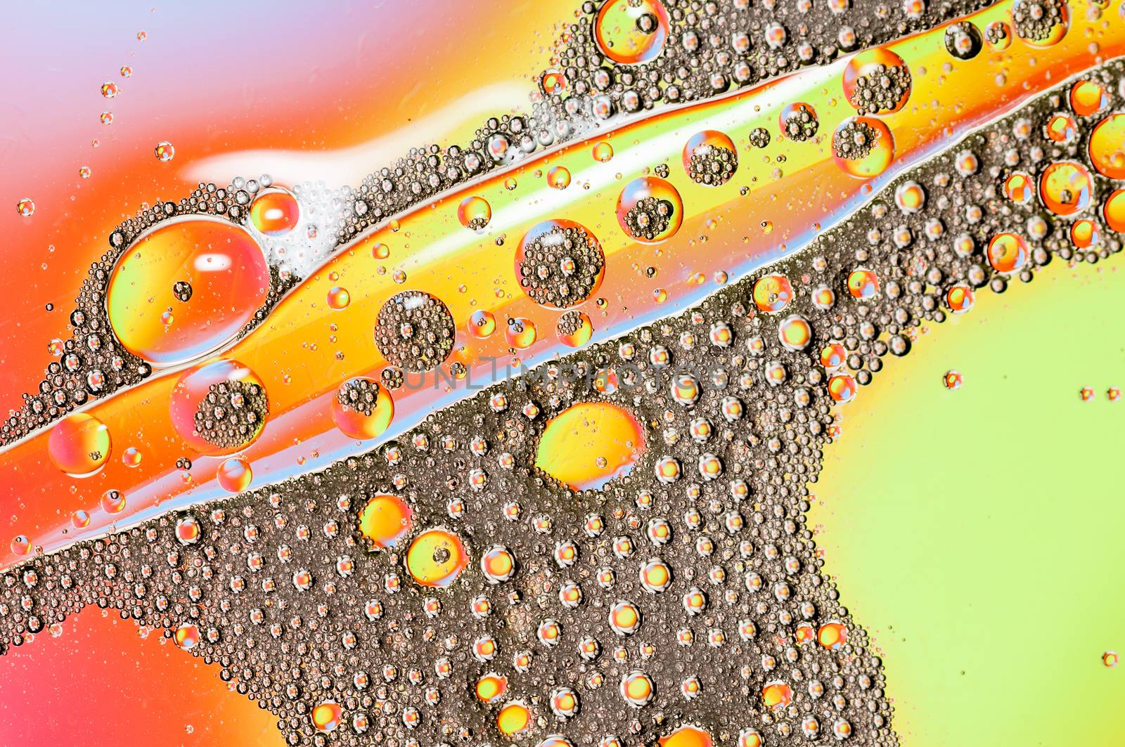 Oil drops on water surface lit from beneath.