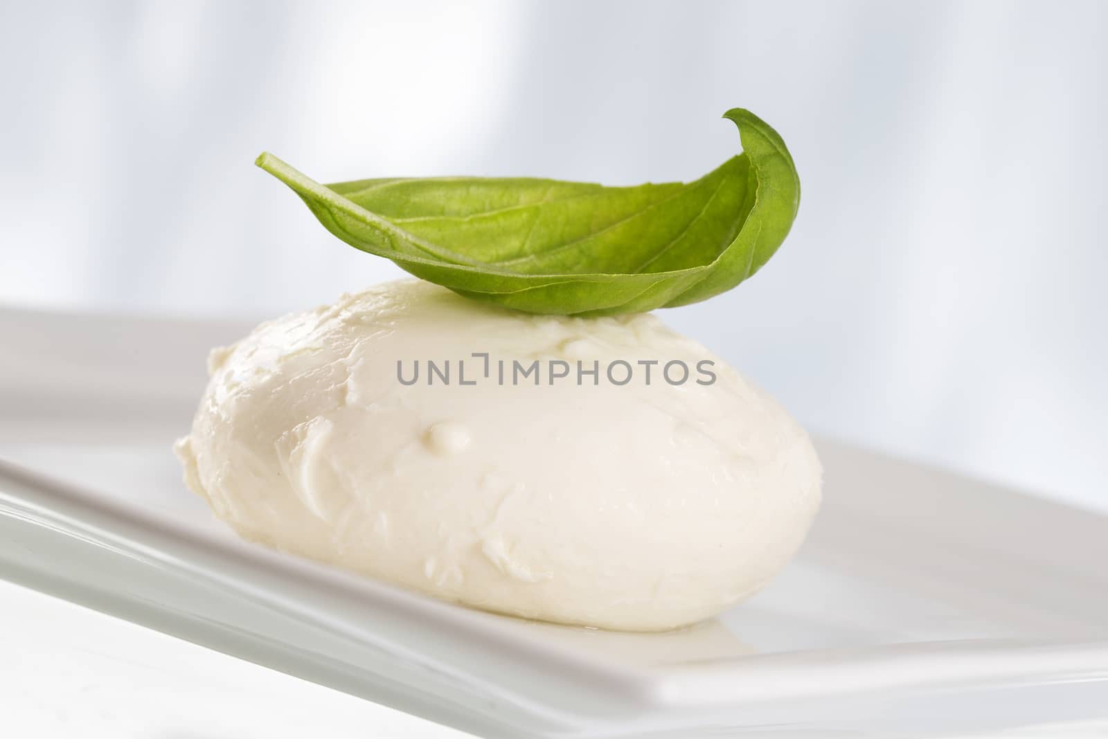 Buffalo mozzarella with basil