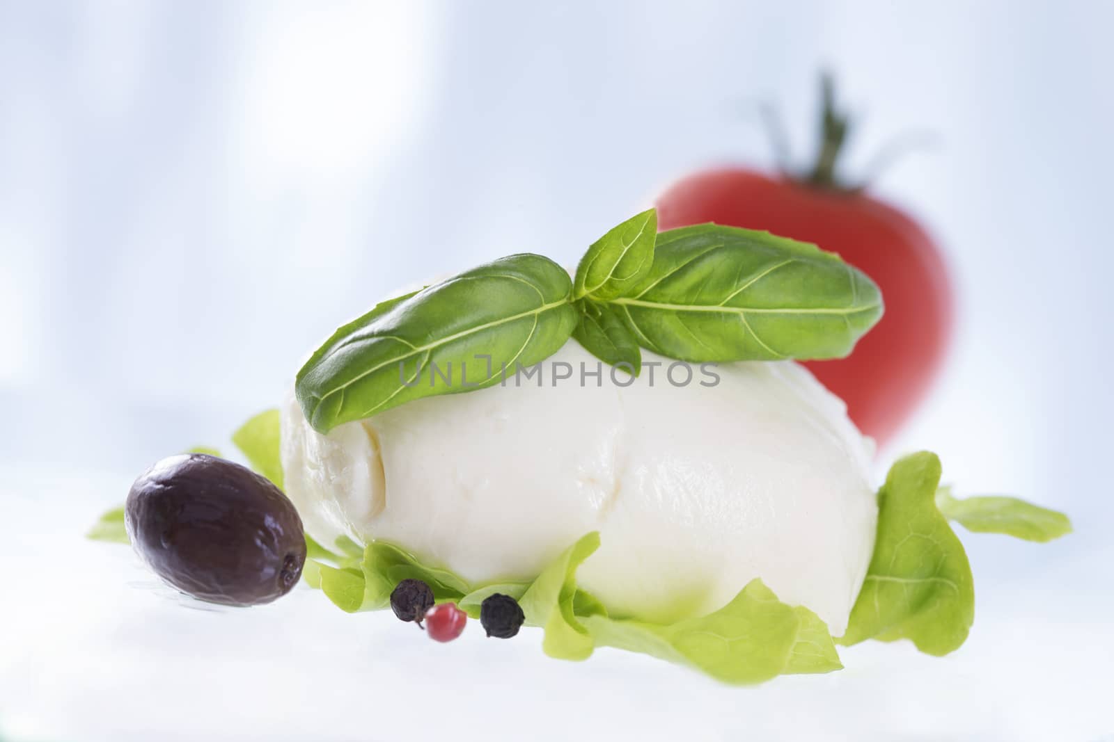Mozarella cheese with tomatoes  nd basil