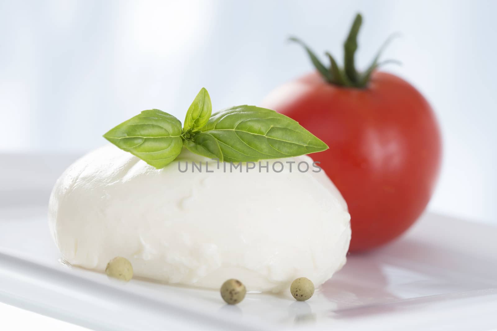 Mozarella cheese with tomatoes  nd basil