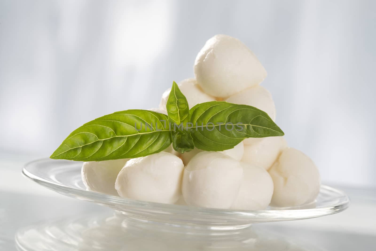 cheese mozzarella with green basil in glass plate