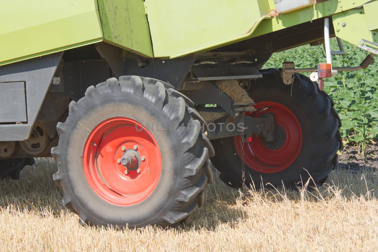 The combine harvester reaps the corn in the fields.