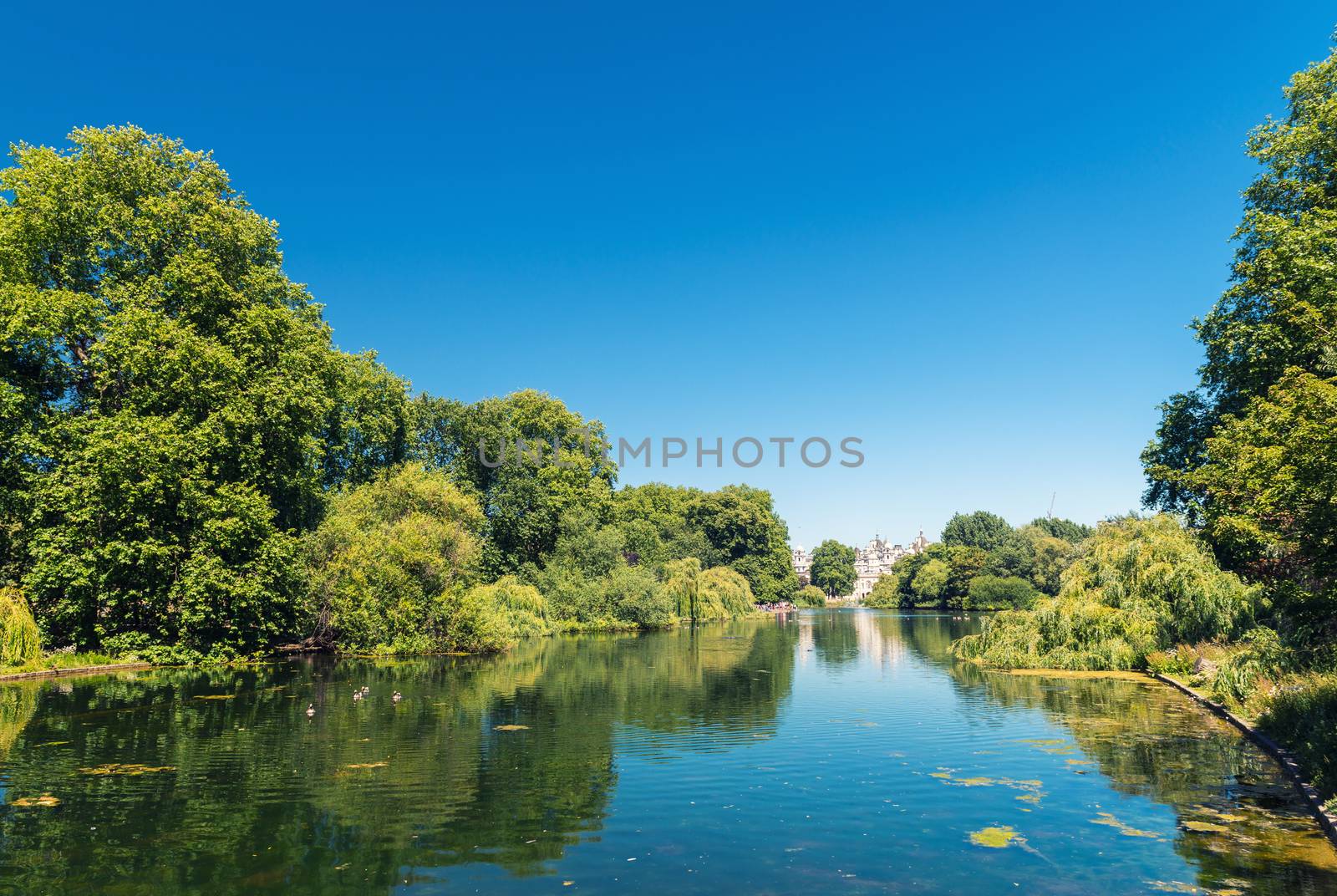 Saint James Park in London on a beautiful summer day.