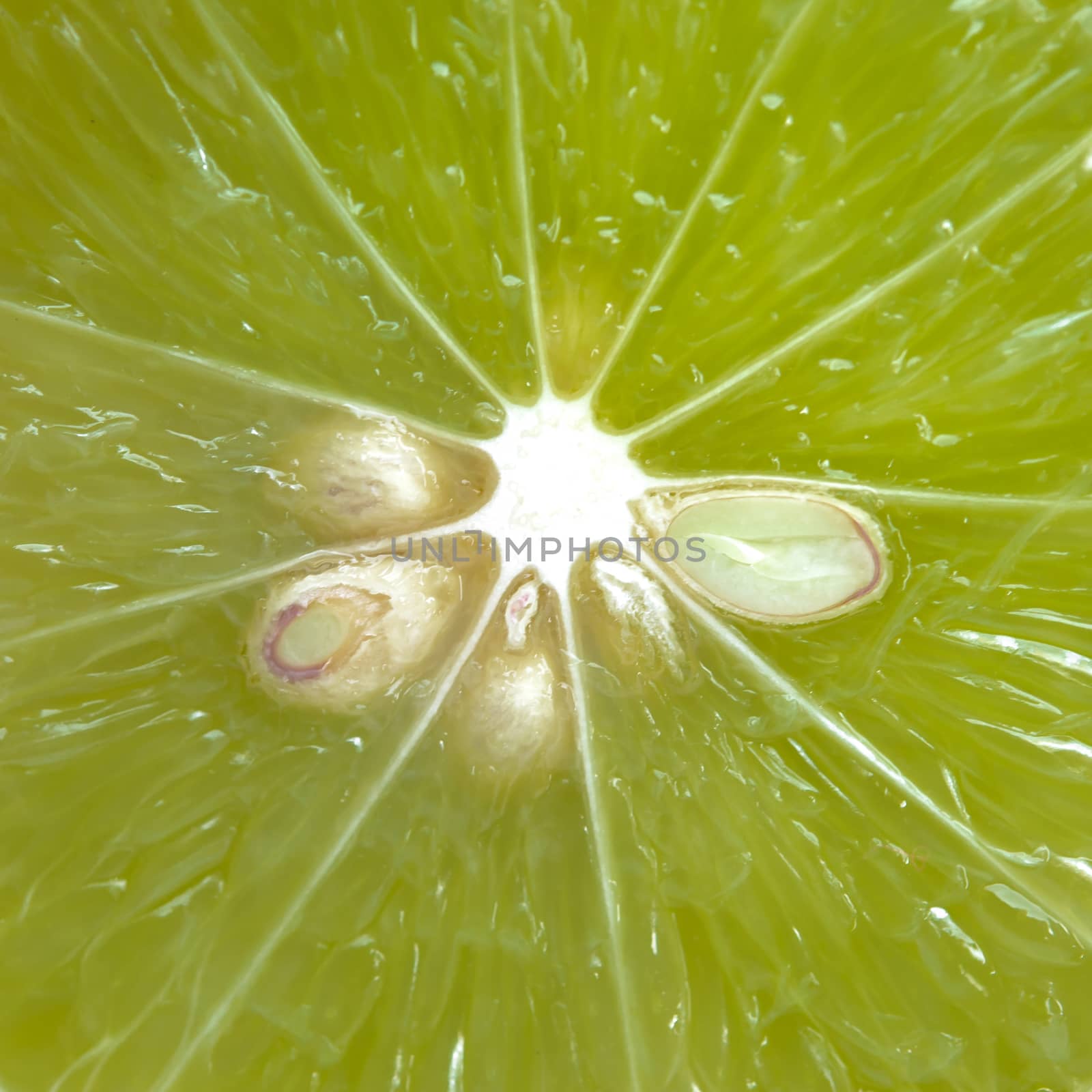 Closeup slice of  lime fruit  background.