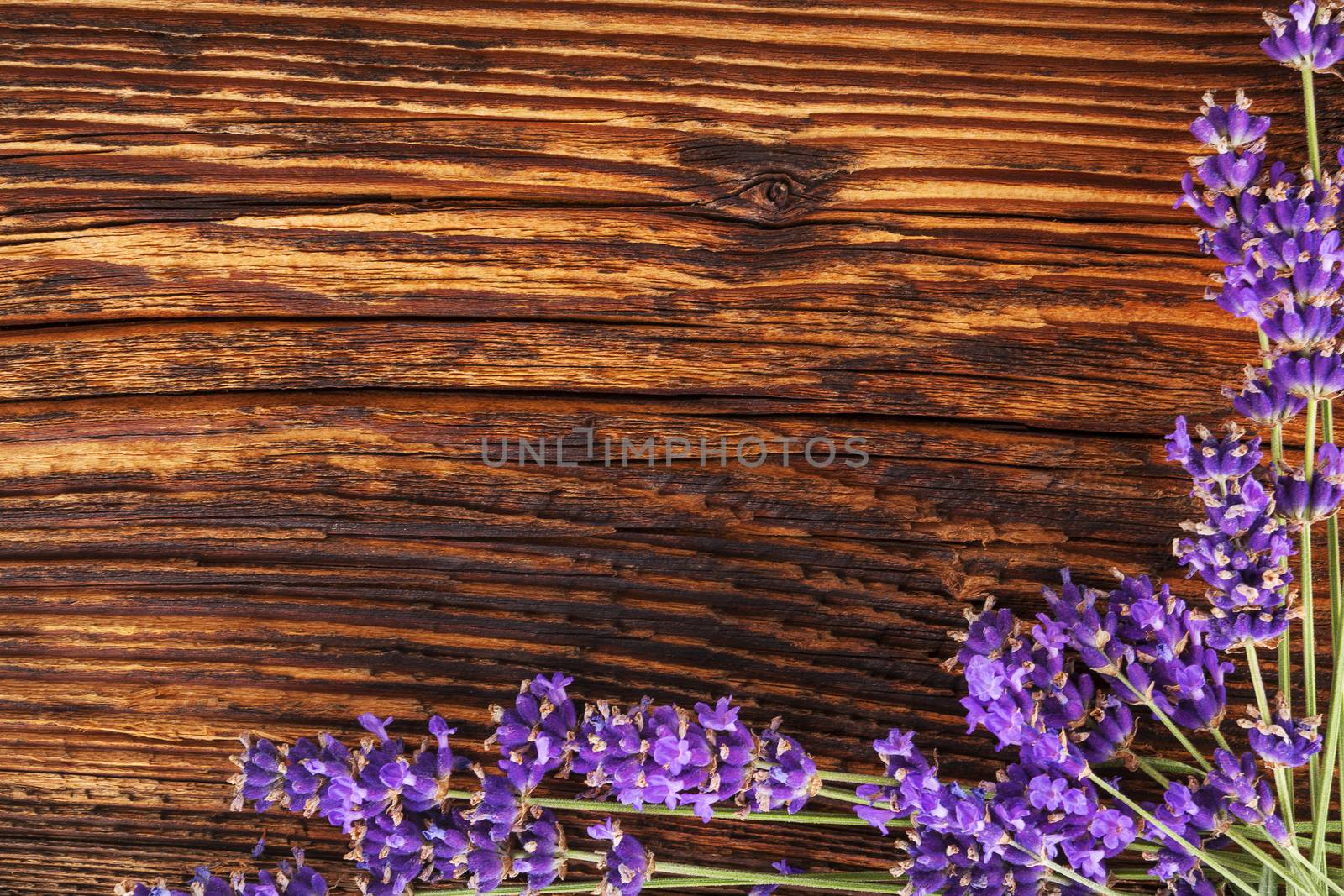 Lavender background. Lavender on brown aged wooden background, top view, rustic country style.