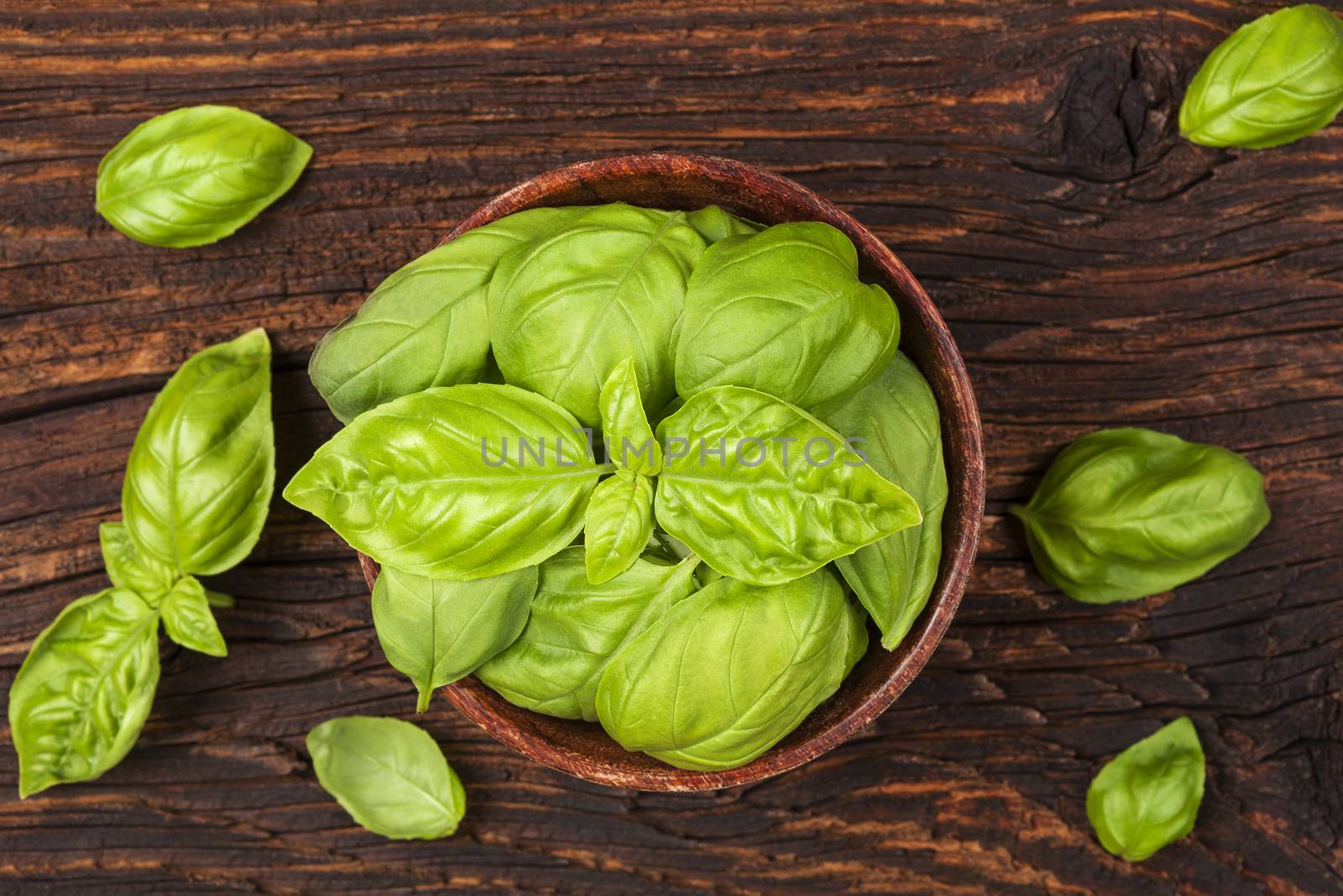 Fresh basil herbs in wooden bowl on old wooden brown background. Culinary herbs, rustic style. 