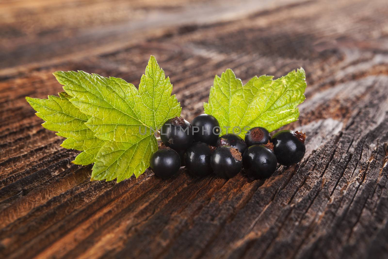 Ripe black currant on old vintage wooden background. Healthy summer fruit eating. 