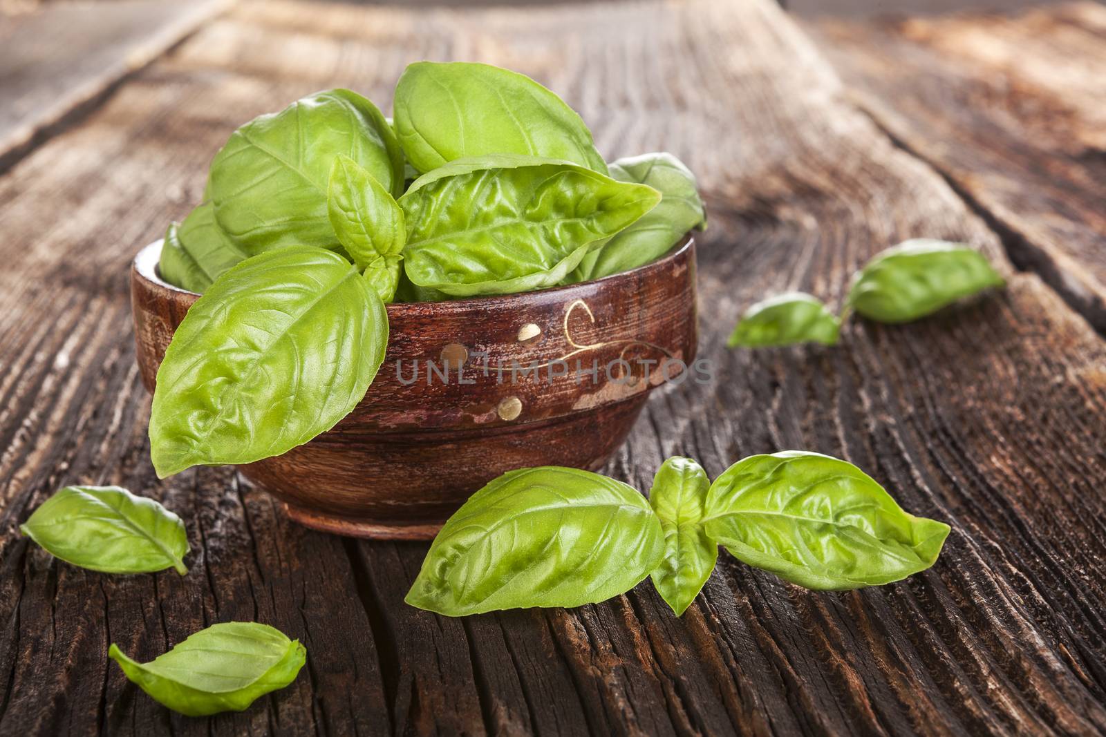 Basil herbs. by eskymaks