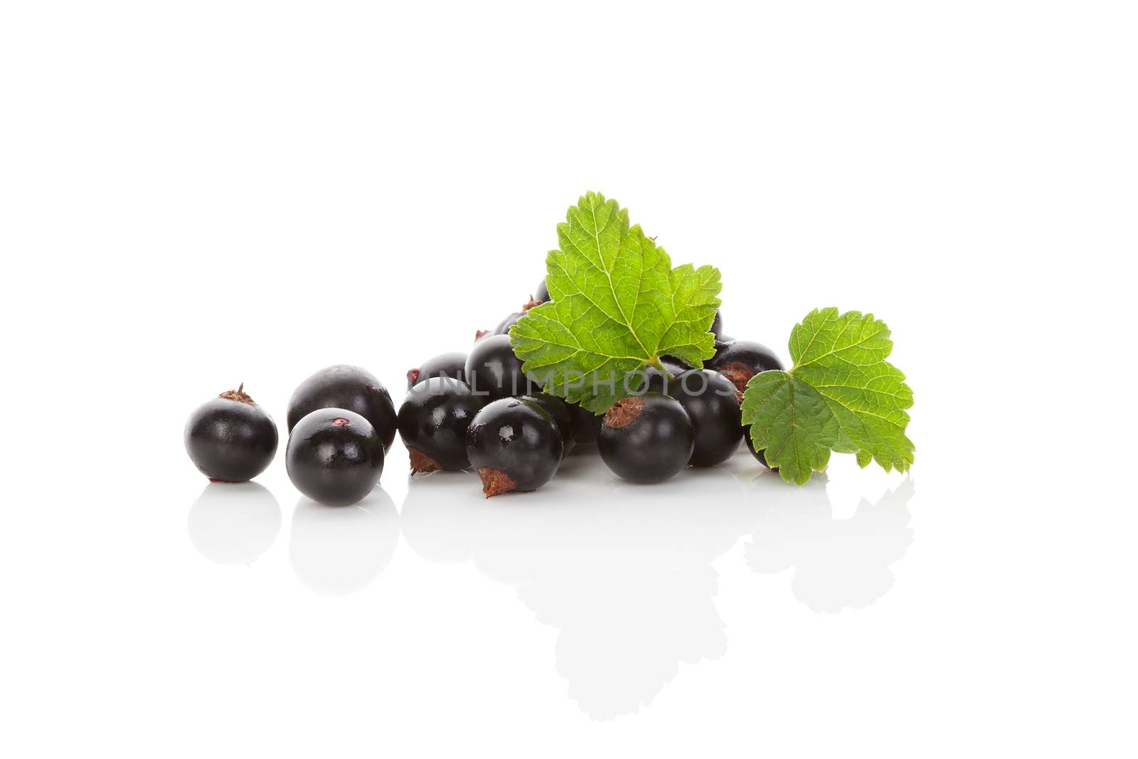 Ripe black currant isolated on white background. Healthy summer fruit eating. 