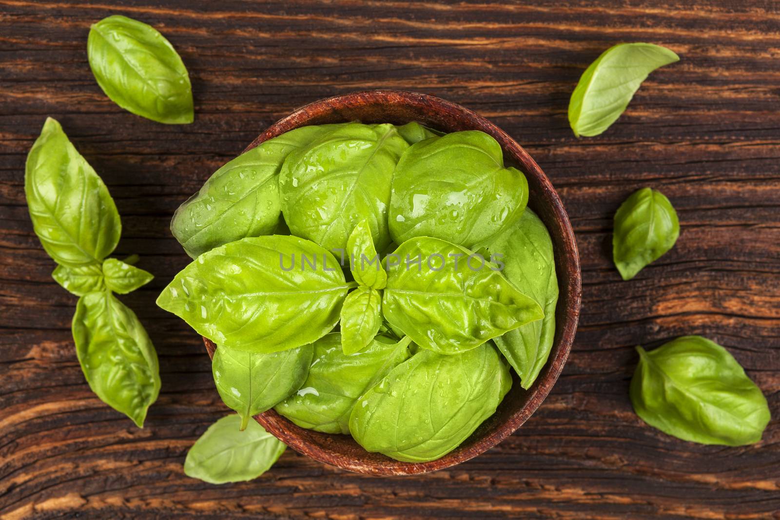 Fresh basil herbs in wooden bowl on old wooden brown background. Culinary herbs, rustic style. 