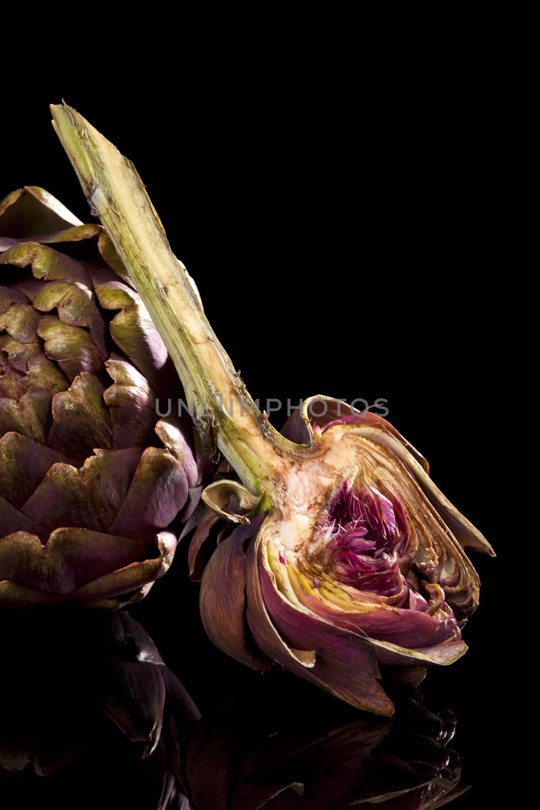 Fresh artichoke isolated on black background. Culinary healthy vegetable eating. 