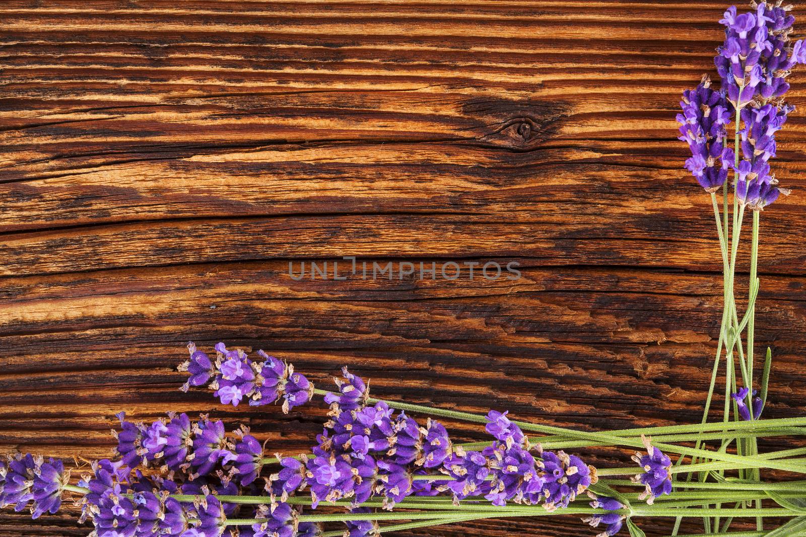 Lavender background. Lavender on brown aged wooden background, top view, rustic country style.