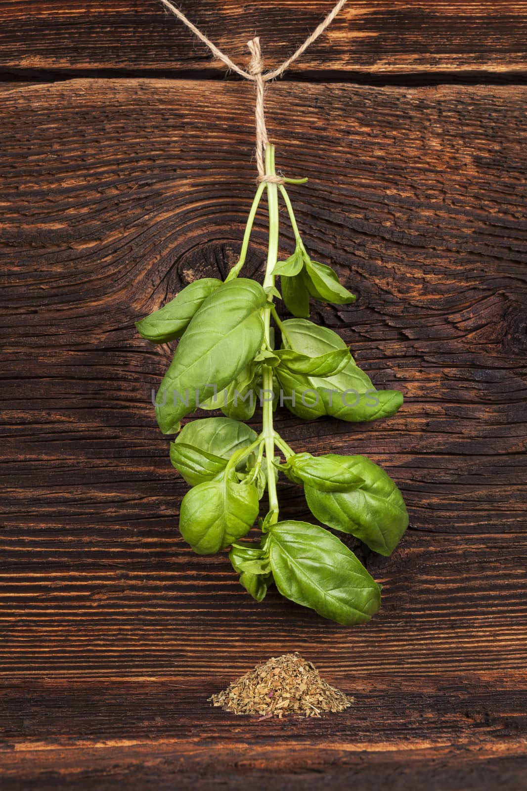 Fresh basil hanging on string and dry basil spice on old vintage wooden background. Culinary herbs. 