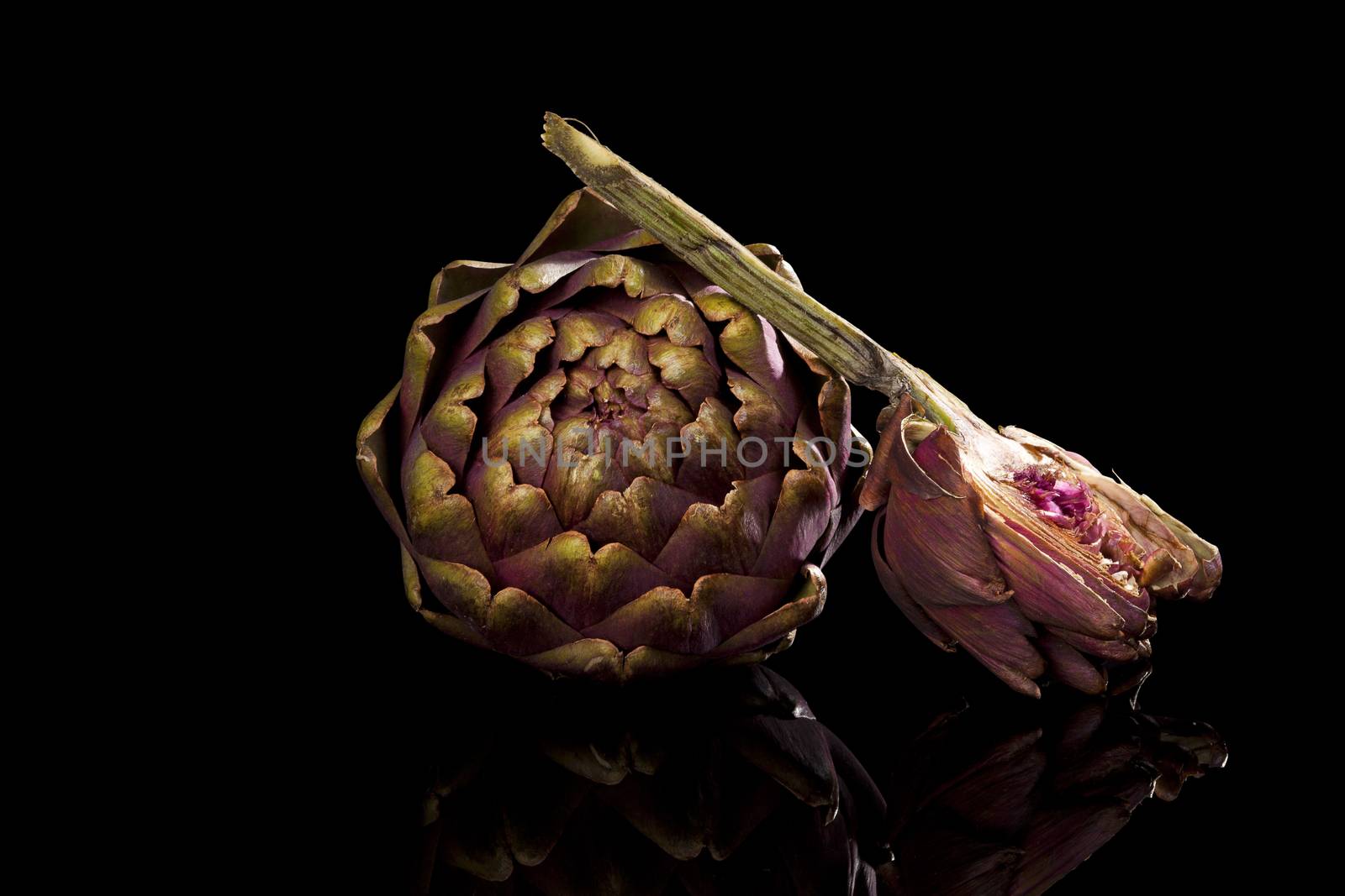 Fresh artichoke isolated on black background. Culinary healthy vegetable eating. 