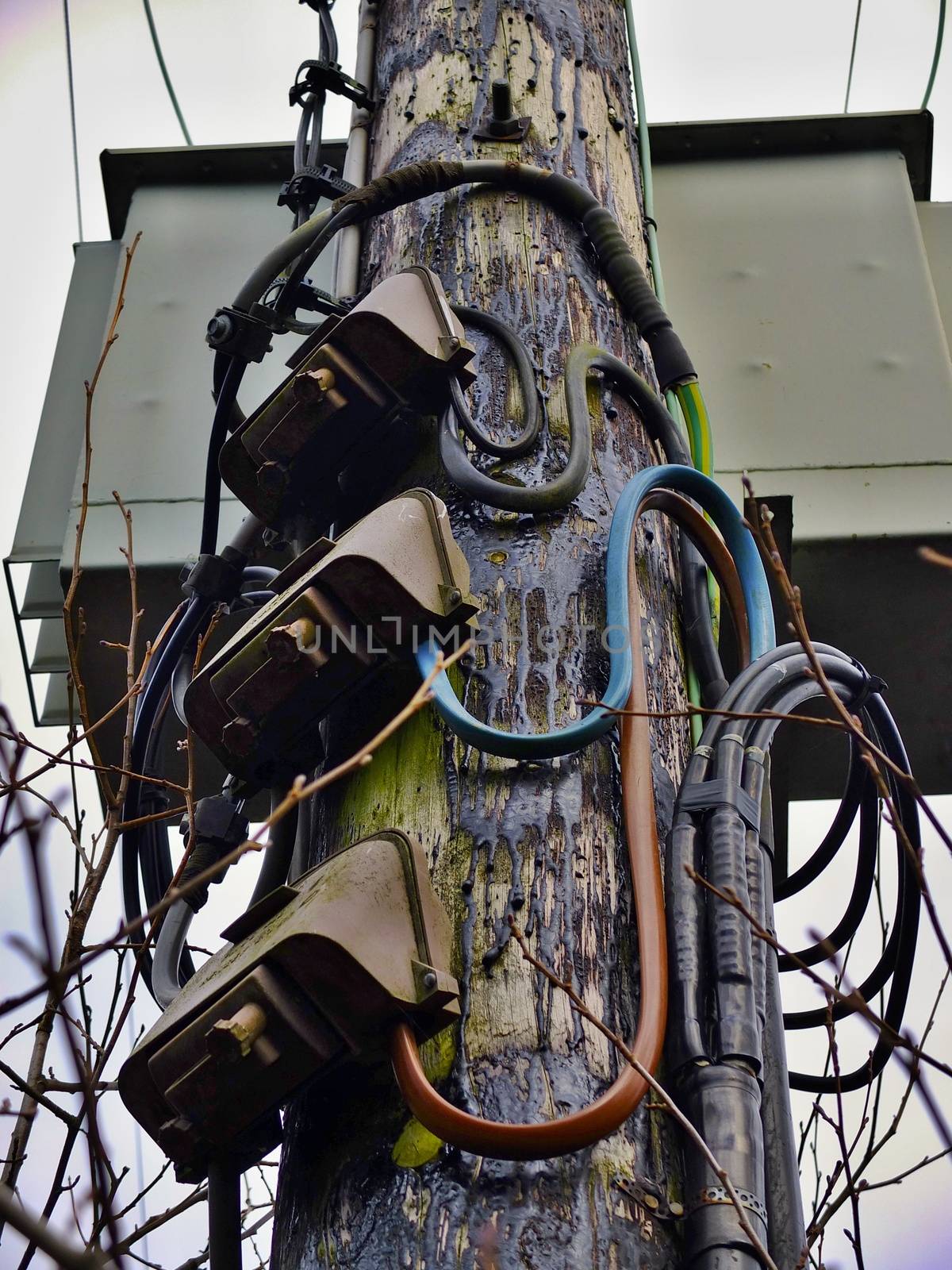 Wooden Electricity Pole with high voltage cables and Junction Boxes