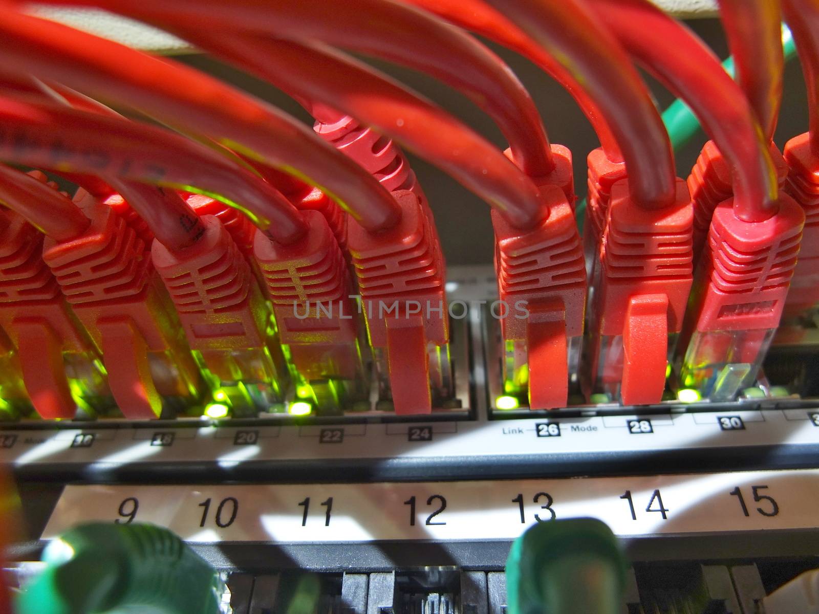 Network Cables connected to server with LED signalization