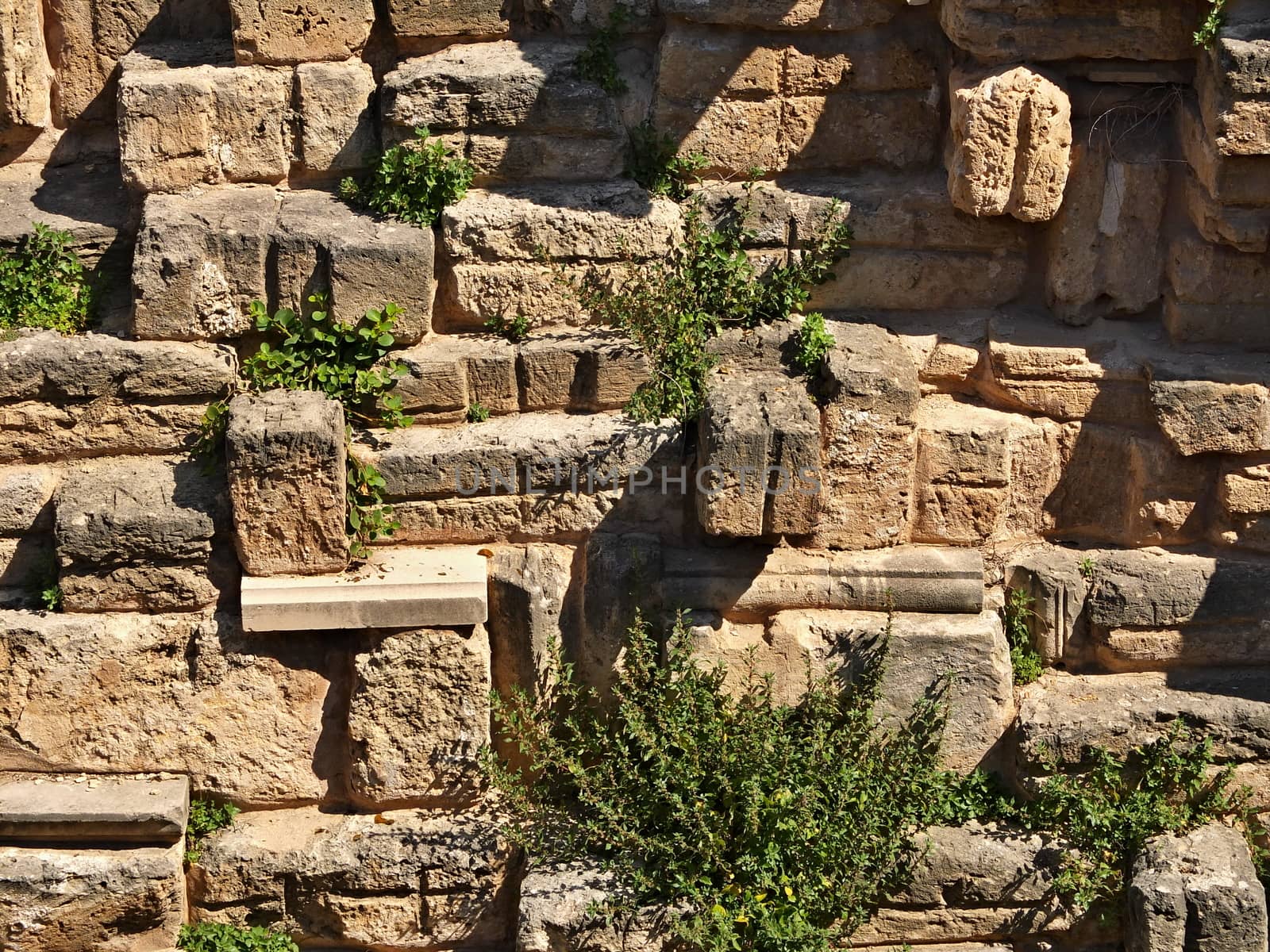 Stone wall by antenacarnidlo