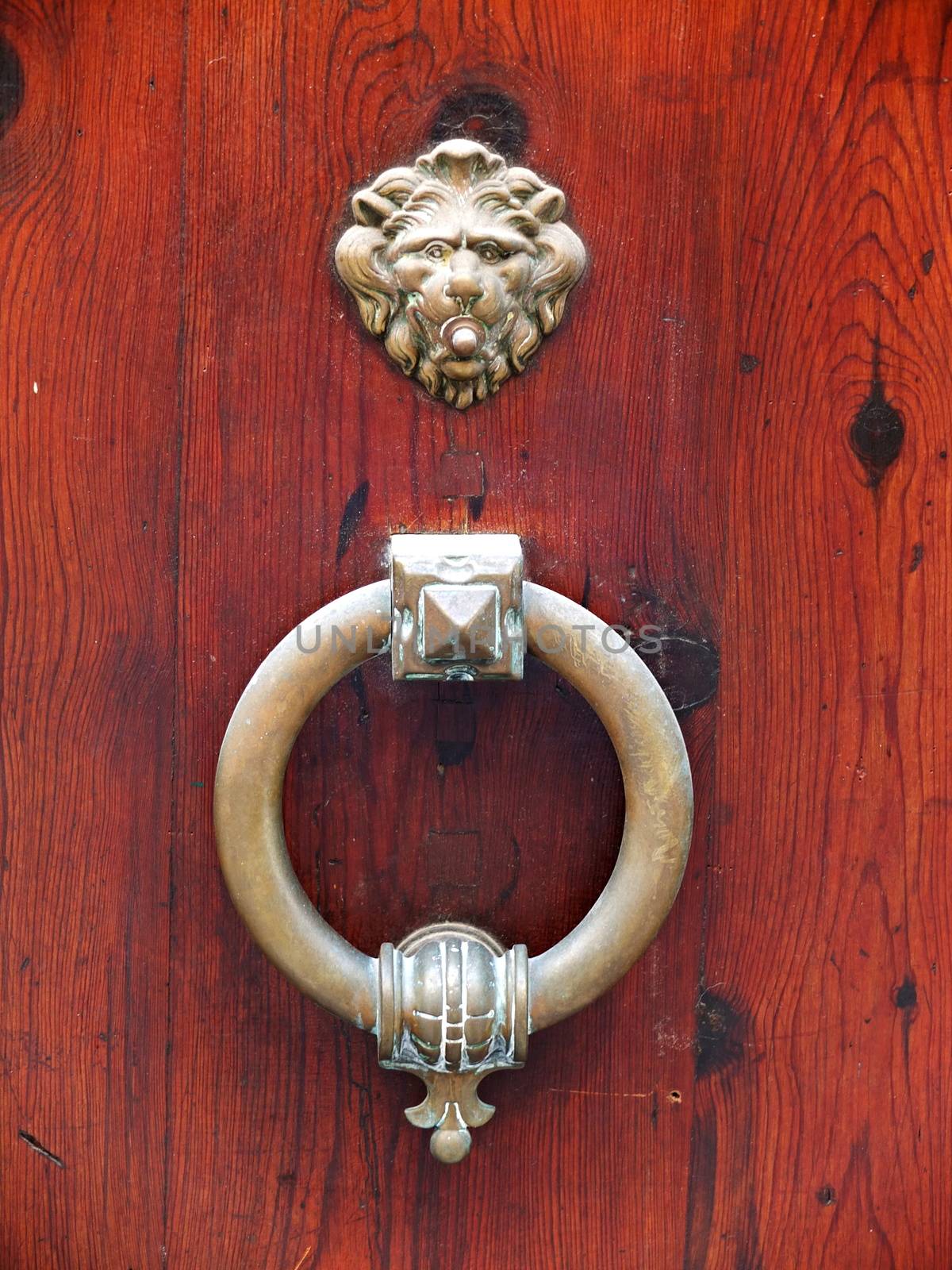 Wooden gate doors with ancient iron knocker