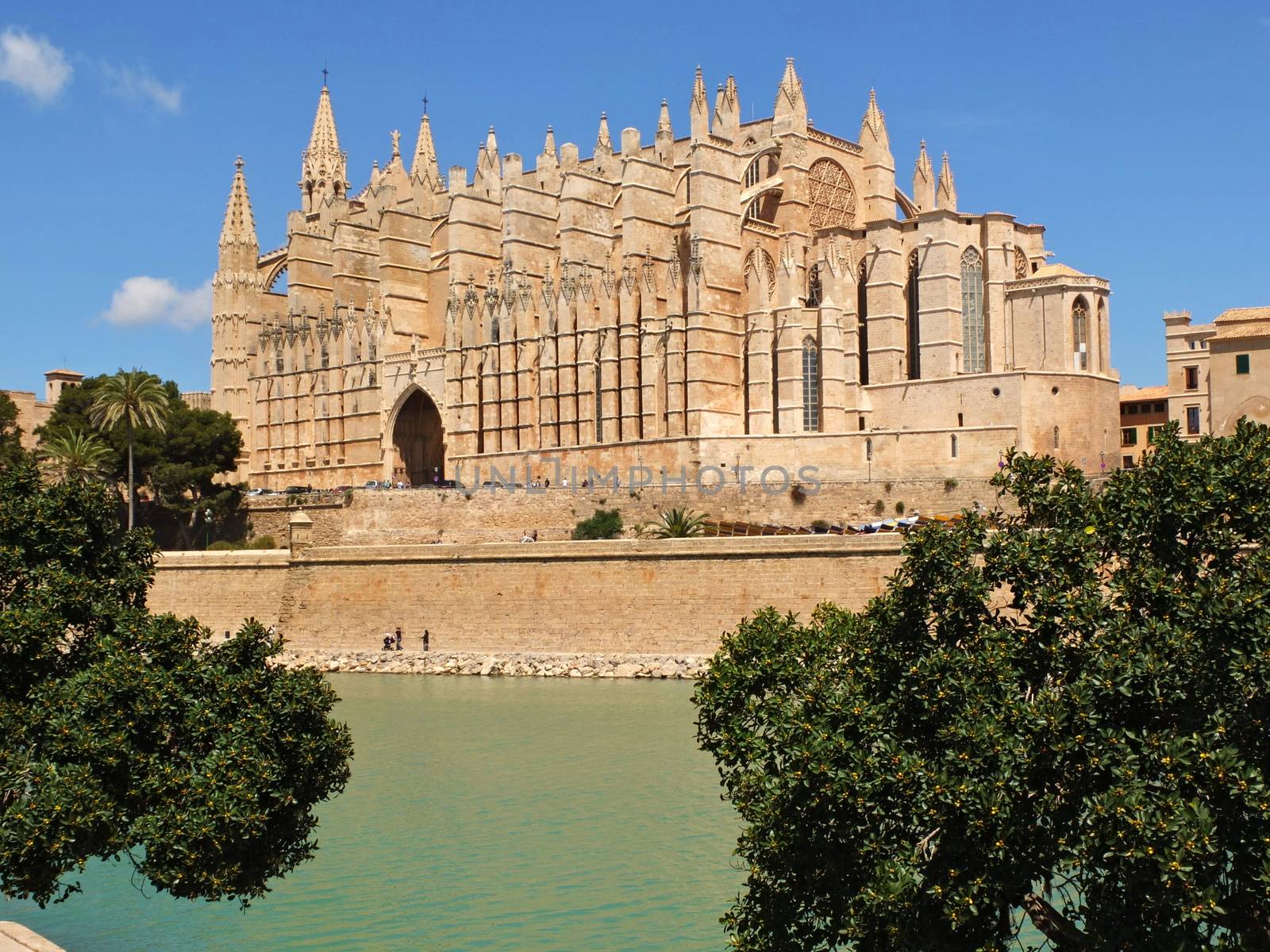 Cathedral of la Seu Mallorca at Palma de Mallorca, Balearic islands in Spain.