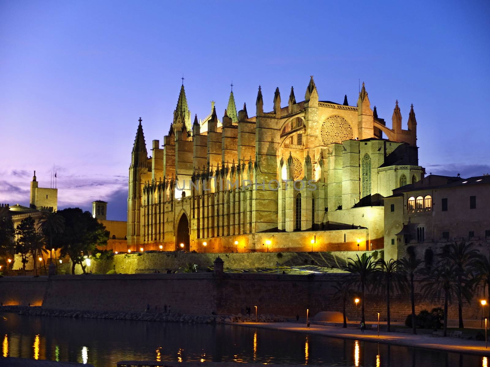 Cathedral of la Seu Mallorca  by antenacarnidlo