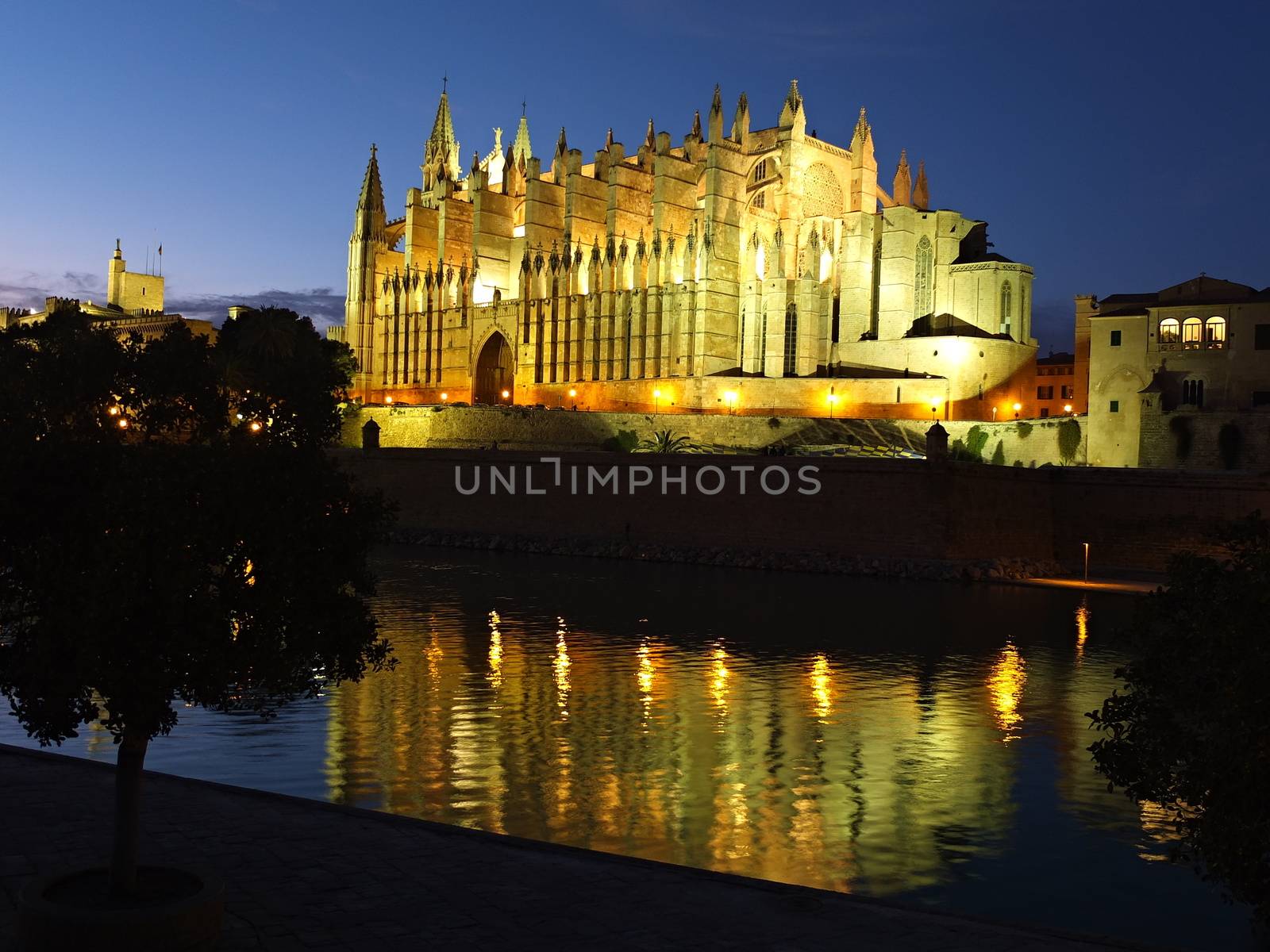 Cathedral of la Seu Mallorca at Palma de Mallorca, Balearic islands in Spain. Night scene with reflection over fountain.