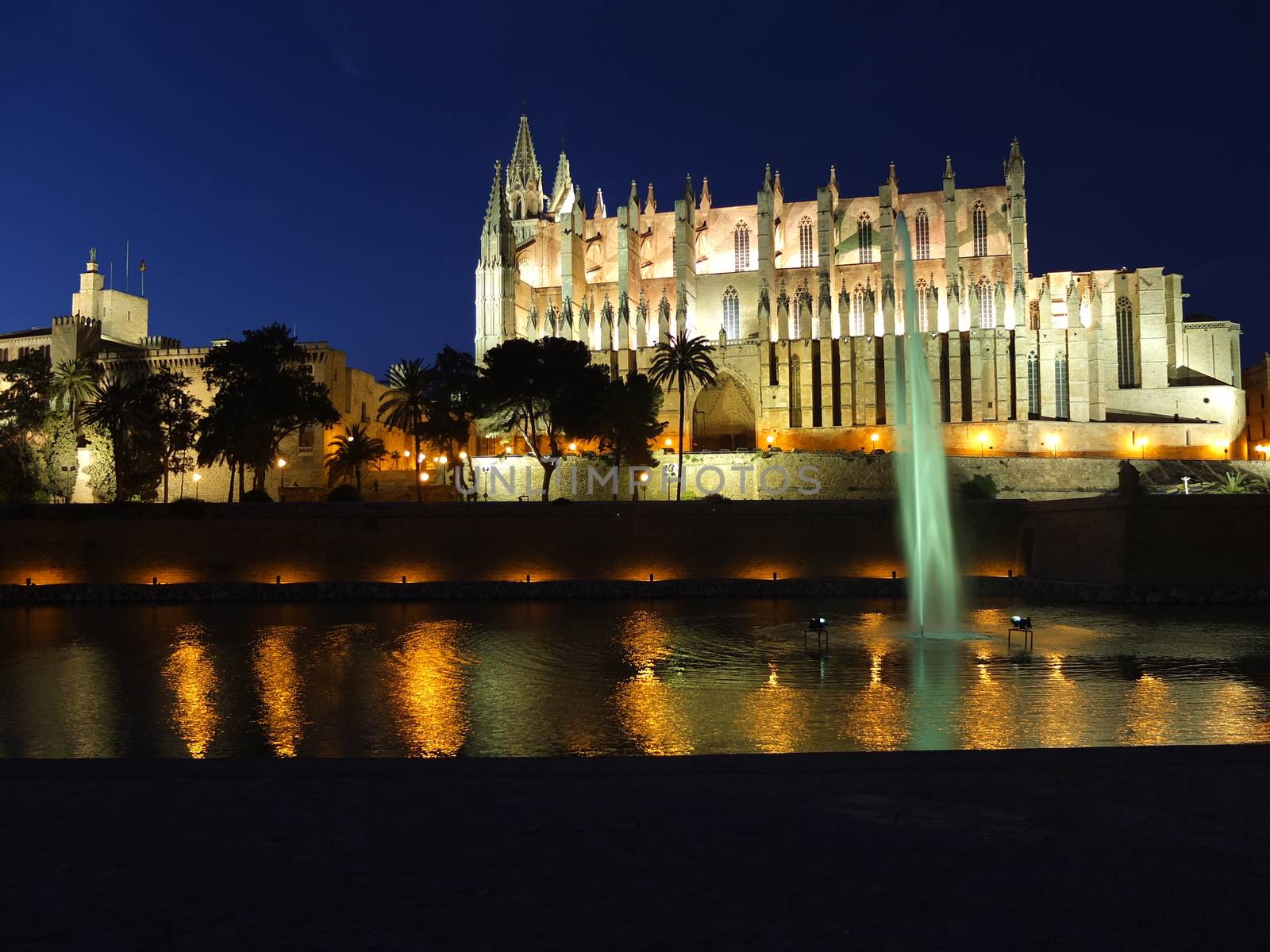Cathedral of la Seu Mallorca at Palma de Mallorca, Balearic islands in Spain. Night scene with reflection over fountain.