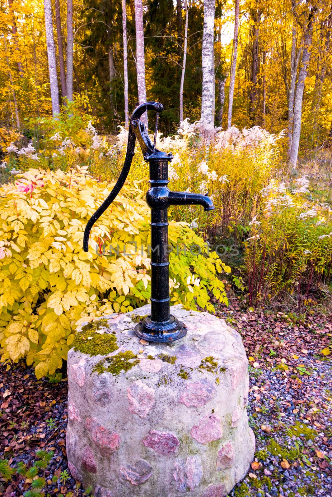 Water tap to an old well
