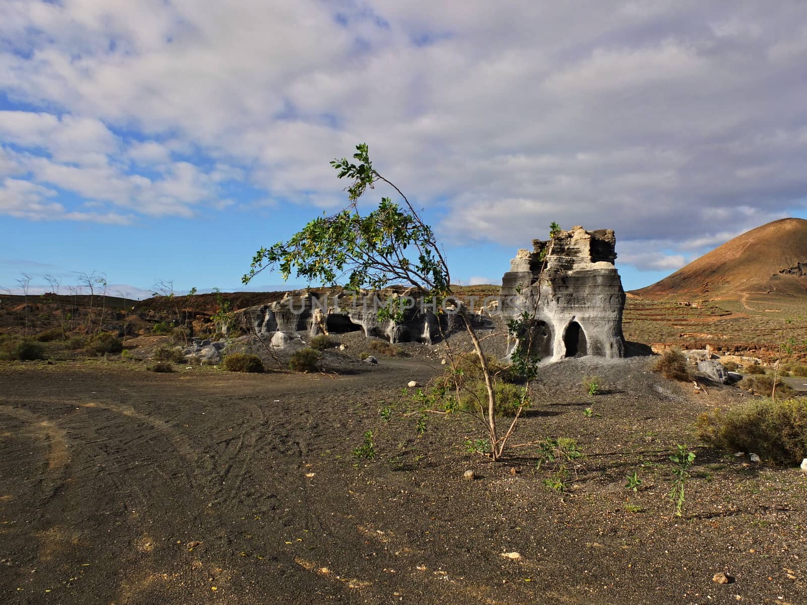 Guatiza teguis volcanic stones at Lanzarote Canary Islands, Spain