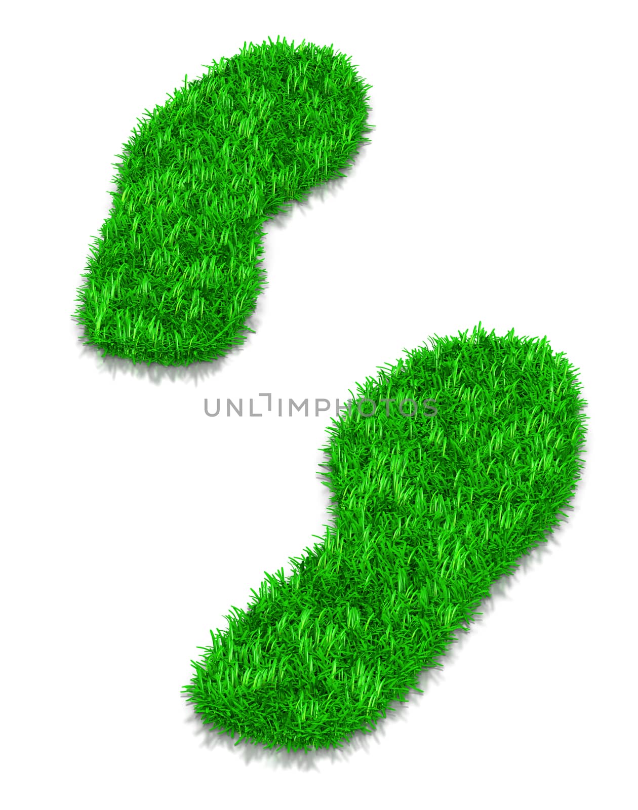Green Grass Footsteps 3D Illustration on White Background