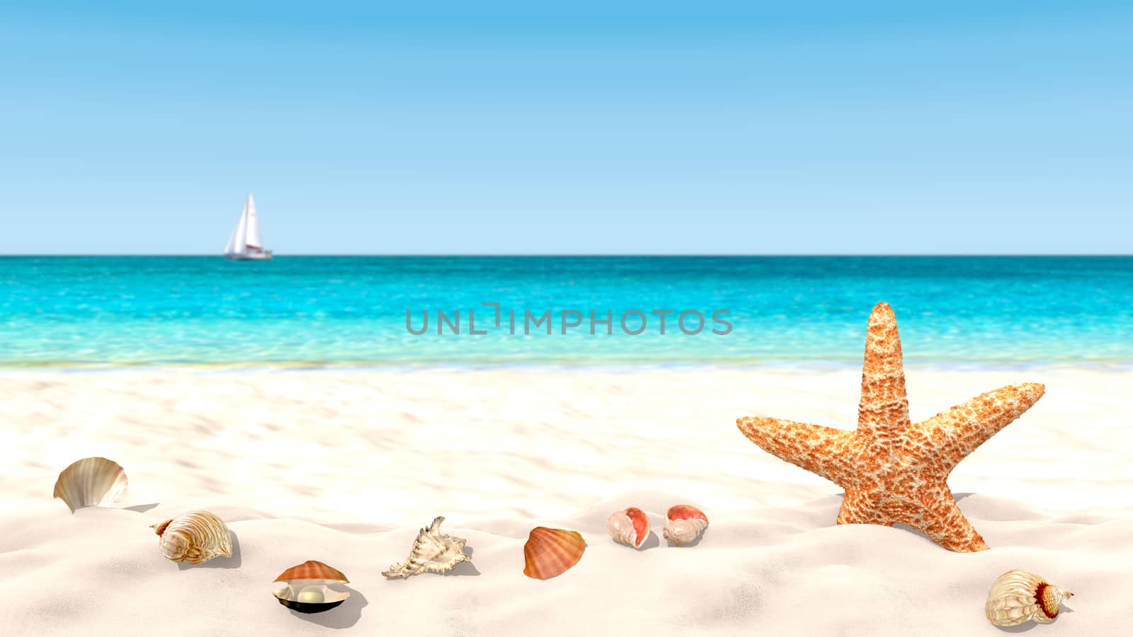 Shells and starfish on a sandy beach with a blurred background in order to focus on the foreground. Copy space available.