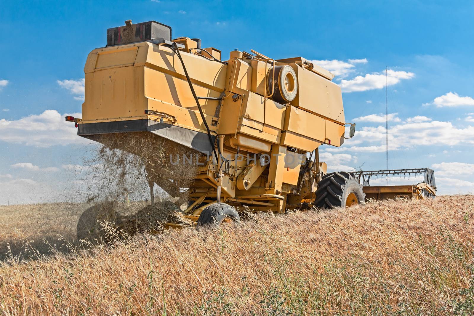 harvester working in wheat field by EnzoArt