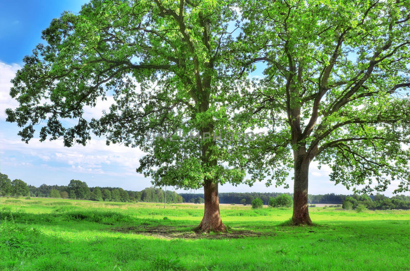 Rural landscape. by satariel