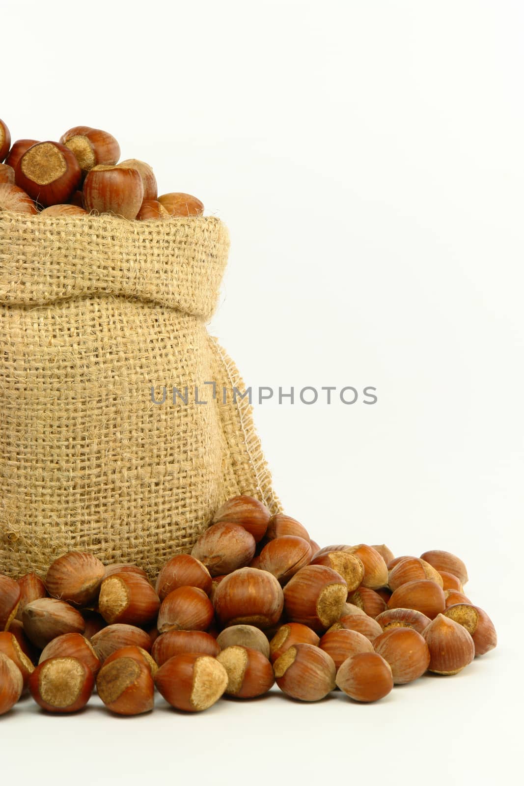 Hazelnut in Bag