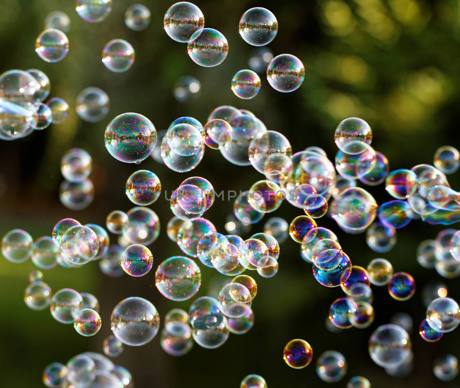 Soap bubbles by Nneirda