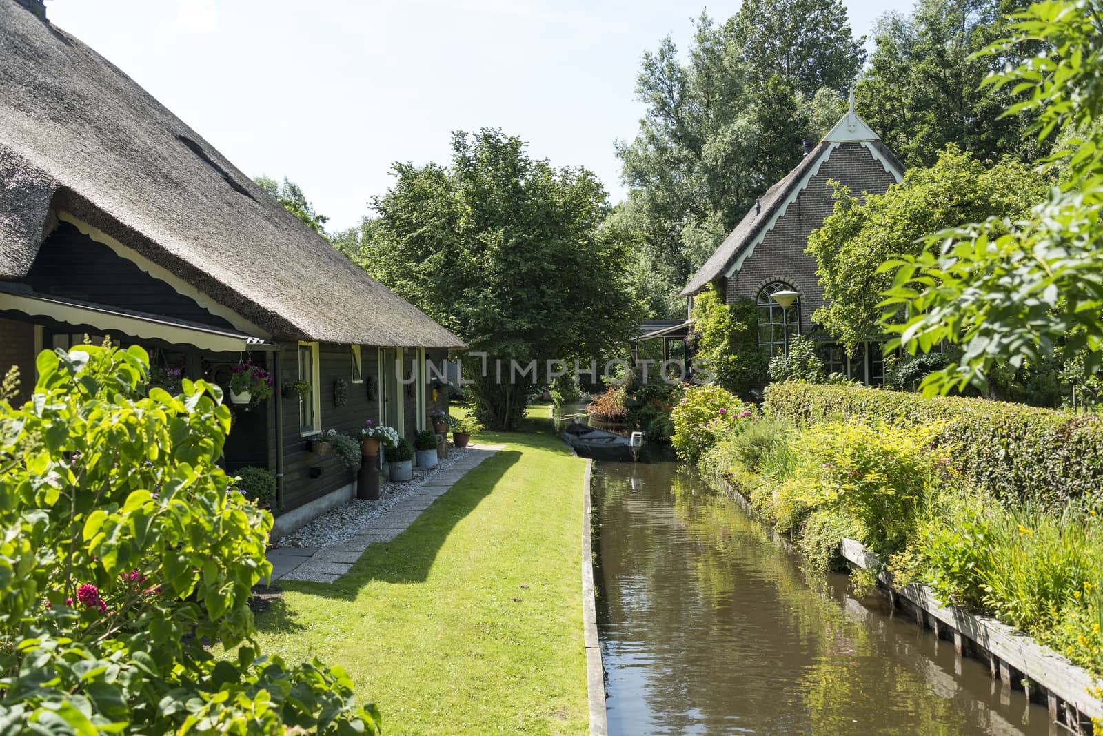 typical houses with garden in the dutch place Giethoorn, called the venice of the north