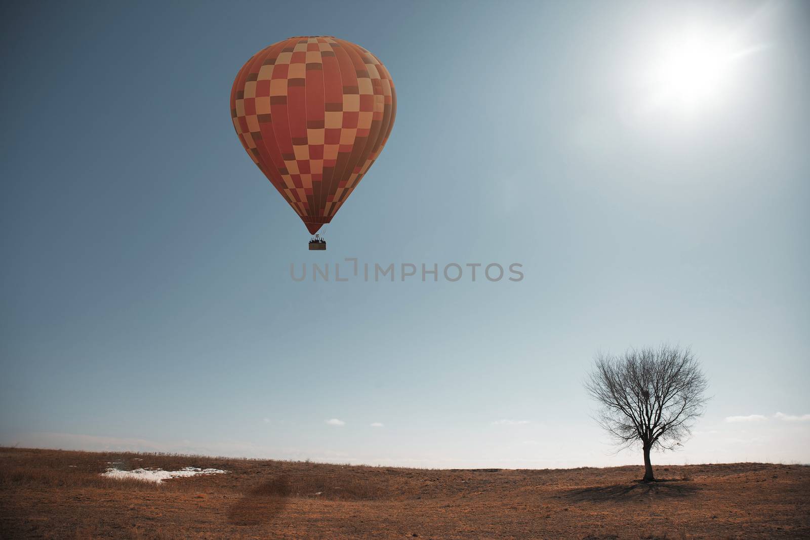 Air balloon flying over the steppe with single tree