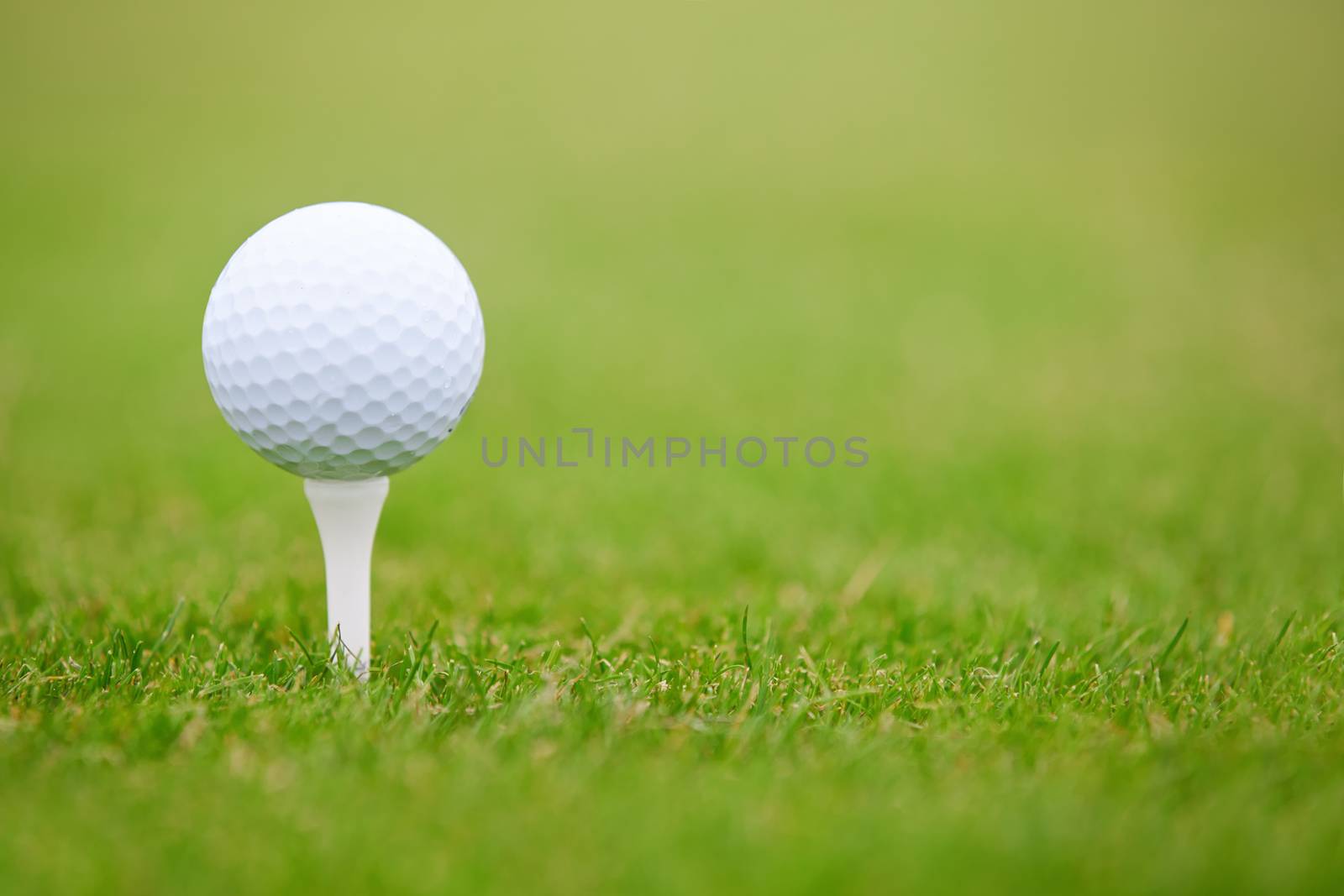 Golf ball on a green lawn. Close-up photo