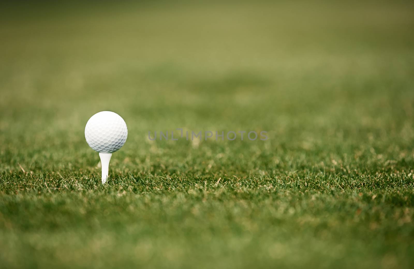 Golf ball on a green lawn. Close-up photo