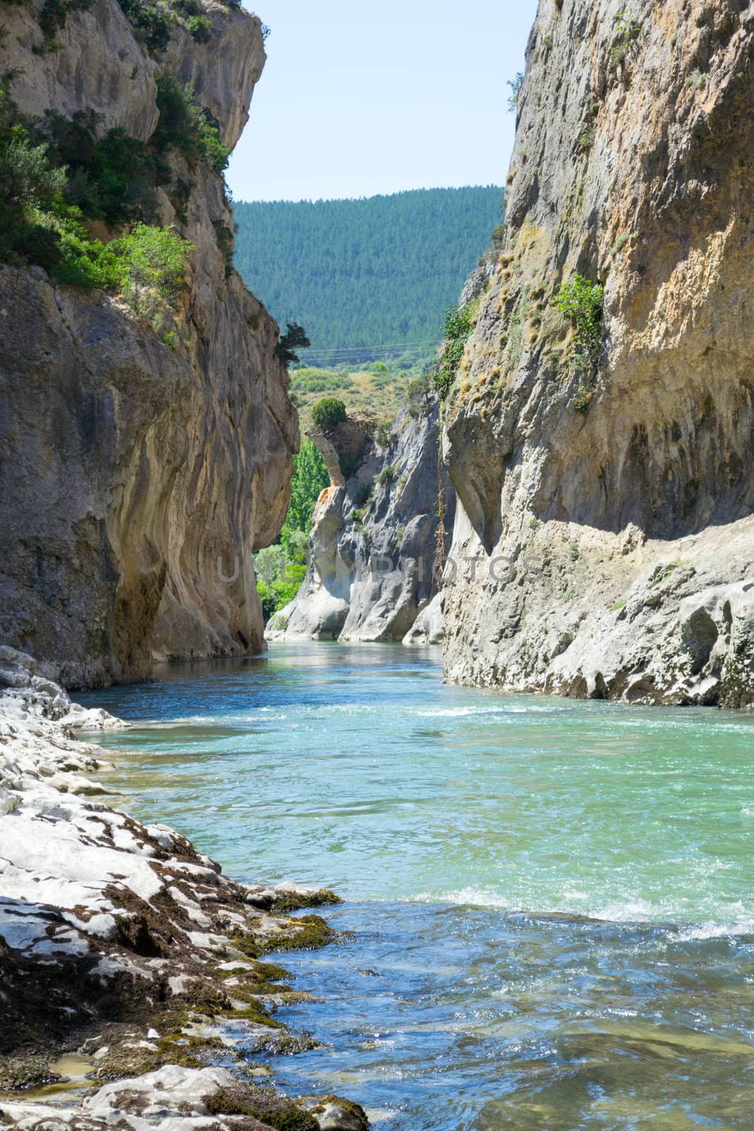 Lumbier gorge, located in Navarre (Spain), was carved by the Irati river in limestone