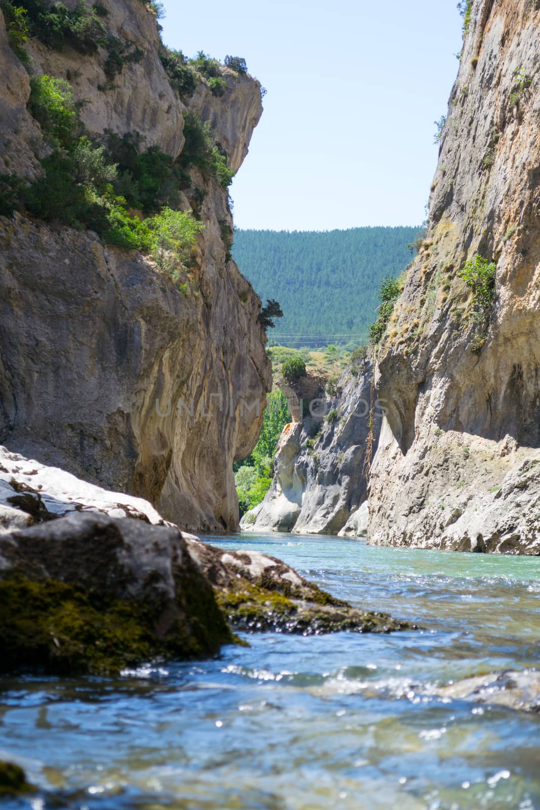 Lumbier gorge, located in Navarre (Spain), was carved by the Irati river in limestone