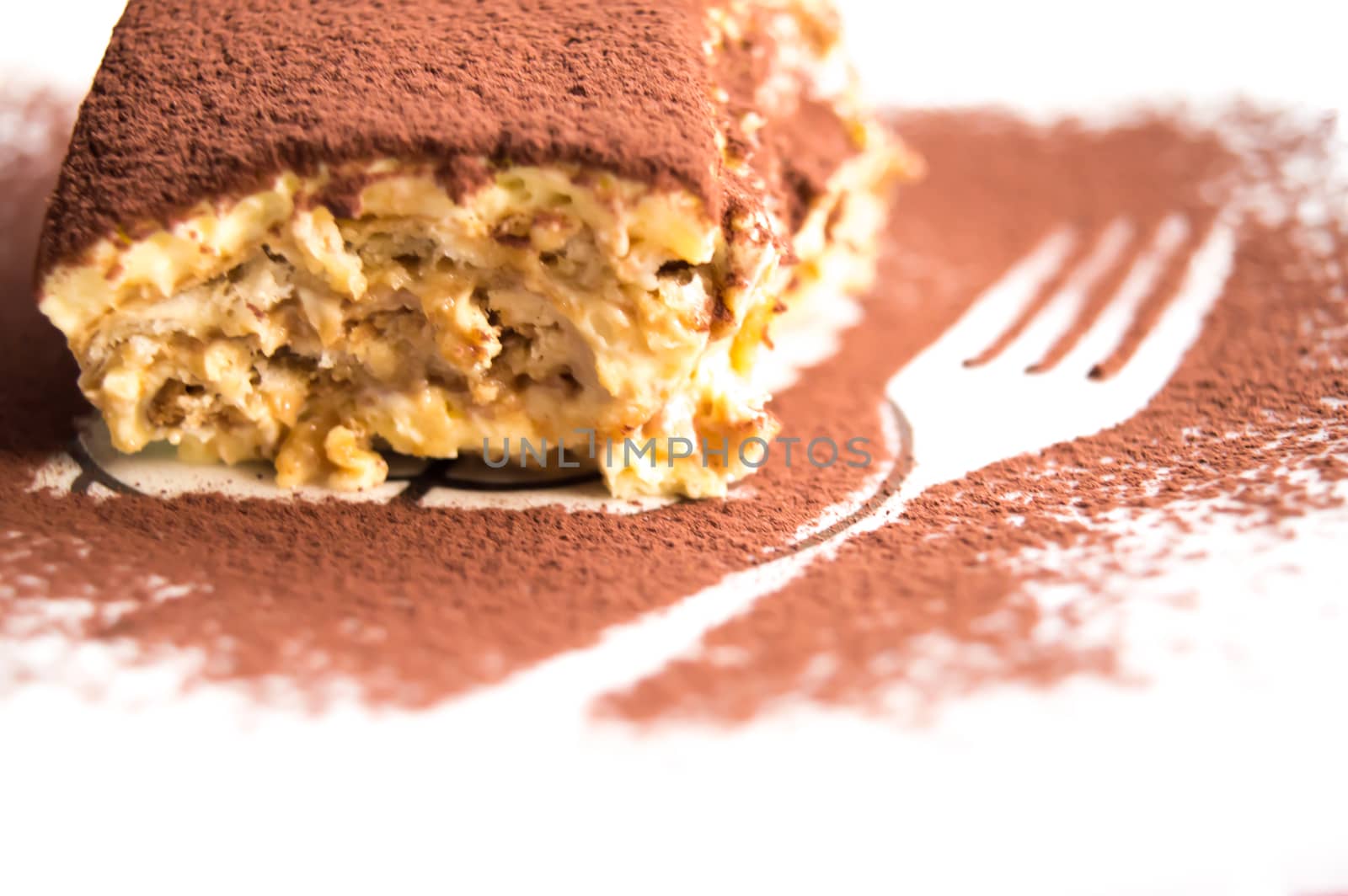 detail of a slice of tiramisu, a typical dessert of Italian culinary tradition