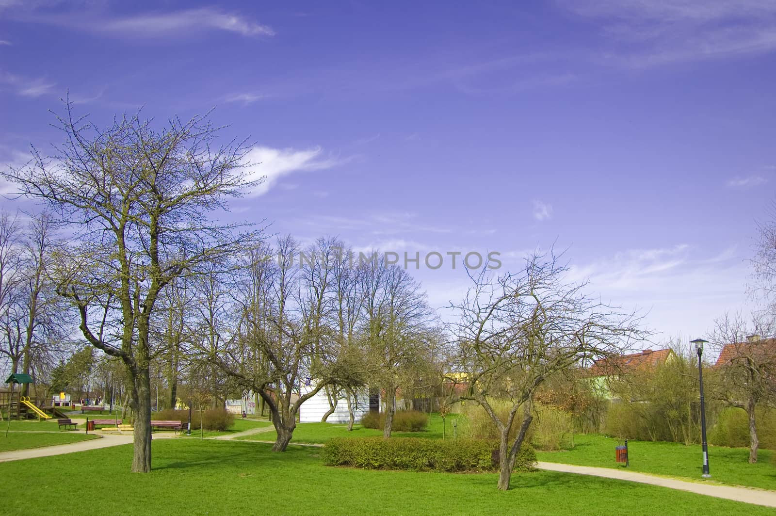 Spring conceptual image. Spring in the park.