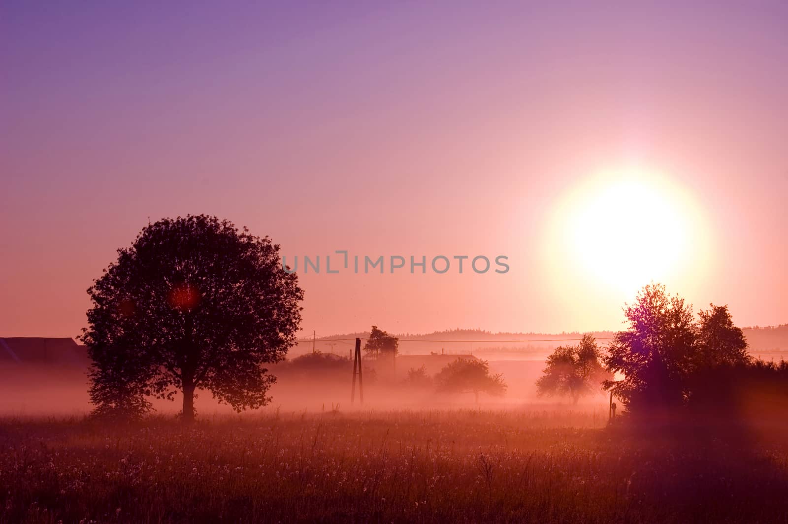 Sunrise. Picture of sunrise in summer rural.